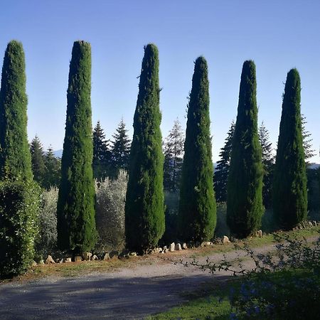 Casa Marconi Villa Vetriano ภายนอก รูปภาพ