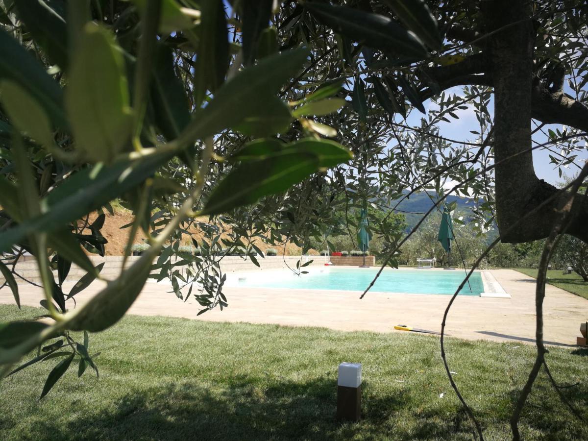 Casa Marconi Villa Vetriano ภายนอก รูปภาพ