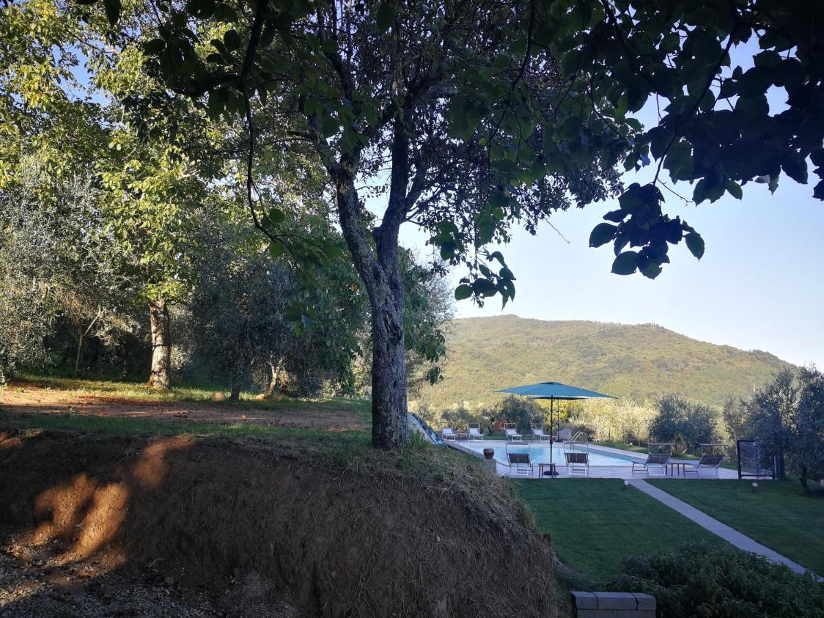 Casa Marconi Villa Vetriano ภายนอก รูปภาพ