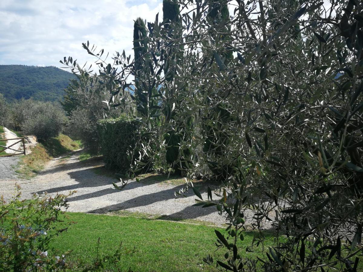 Casa Marconi Villa Vetriano ภายนอก รูปภาพ