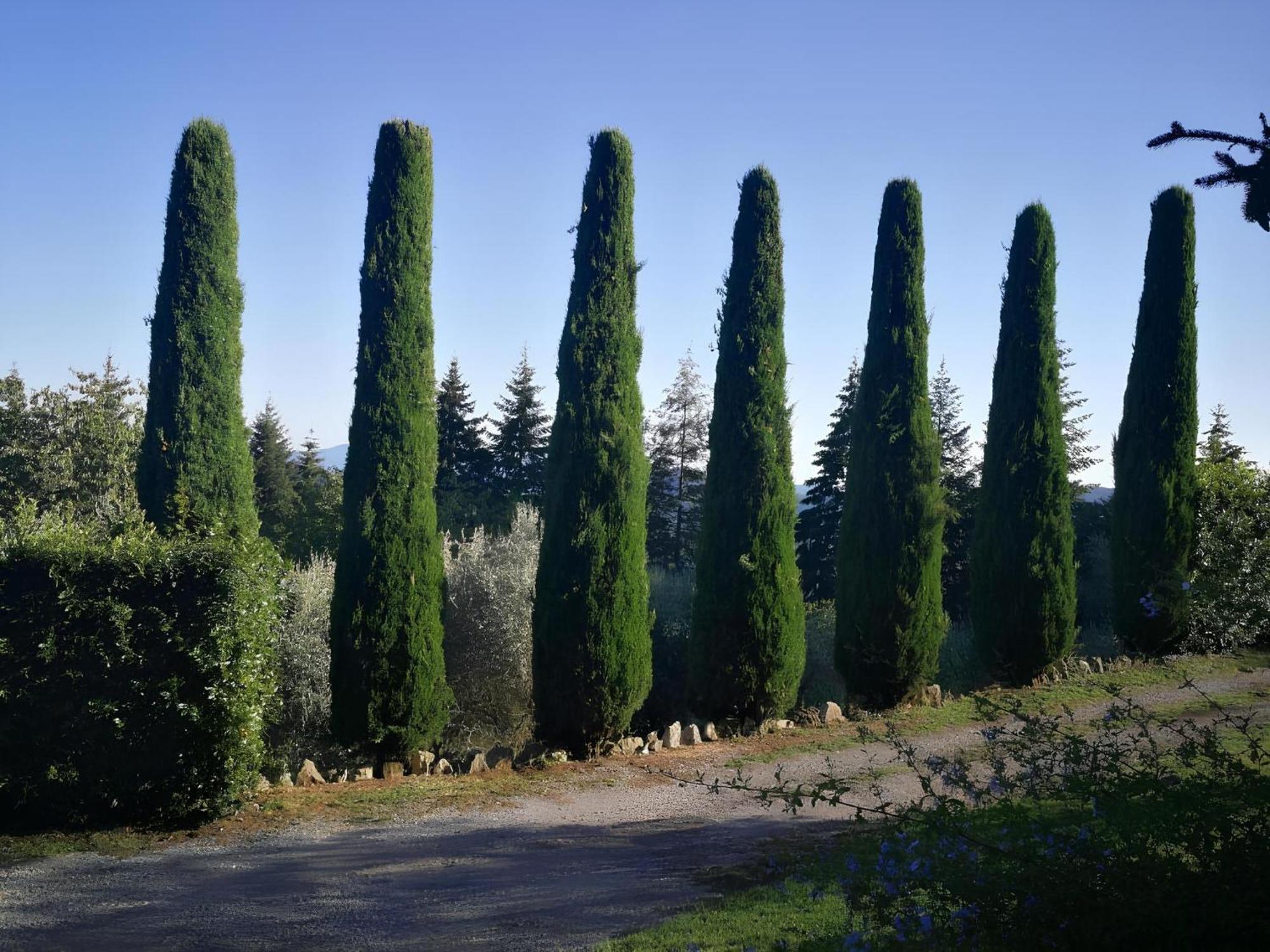 Casa Marconi Villa Vetriano ภายนอก รูปภาพ